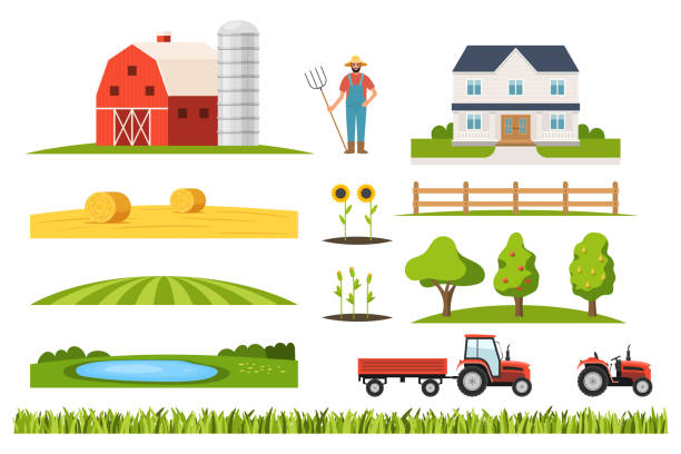 illustrazioni stock, clip art, cartoni animati e icone di tendenza di costruttore di infrastrutture agricole con agricoltore e trattore - masseria
