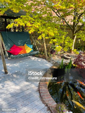 istock Image of garden decking patio with green swing seat with colourful cushions, beside koi pond surrounded by bamboo hedge, over hanging maple, red and white koi carp fish swimming in clear water 1332207091