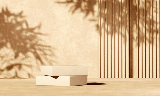istock 3D beige concrete podium display with lights and plants shadows 1332208052