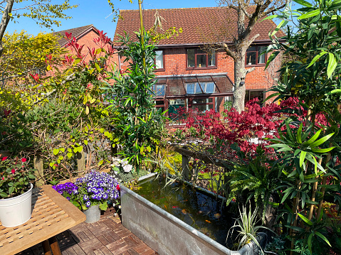 Stock photo showing elevated view across a domestic garden from a treehouse terrace platform balcony in summer with teak decking tiled al fresco dining area, zinc trough pond with solar fountain pump, goldfish and solar powered lights.
