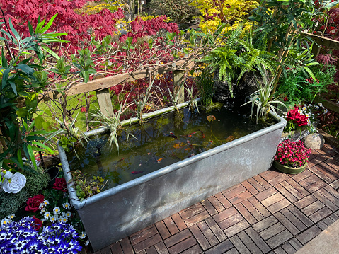 Stock photo showing elevated view across a domestic garden from a treehouse terrace platform balcony in summer with teak decking tiled al fresco dining area, zinc trough pond with solar fountain pump, goldfish and solar powered lights.