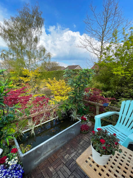 Stock photo showing elevated view across a domestic garden from a treehouse terrace platform balcony in summer with teak decking tiled al fresco dining area, zinc trough pond with solar fountain pump, goldfish and solar powered lights. imagen del balcón de la plataforma de la terraza de la casa del árbol del jardín en verano con azulejos de teca al aire libre comedor con mesa y silla, galvanizado, estanque de zinc con bomba de fuente solar y pez dorado shubunkin, rodeado de plantas co