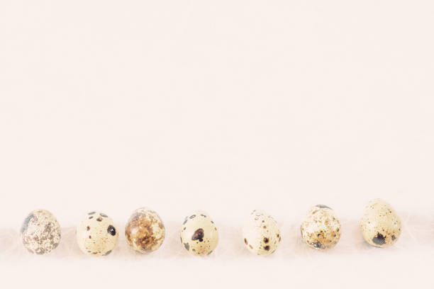 istock Background with a row of quail eggs at the bottom with copy space 1332210080