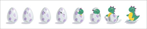illustrazioni stock, clip art, cartoni animati e icone di tendenza di uovo da cova dino in diversi fasi di schianto - newborn animal illustrations