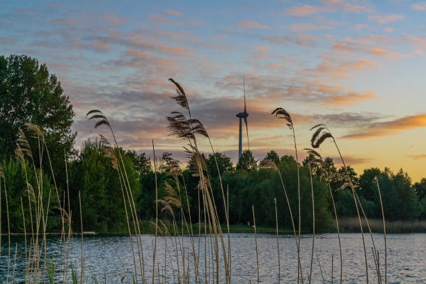 Side view of a wind turbine at sunset in Den Bosch