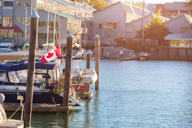 boats at the pier