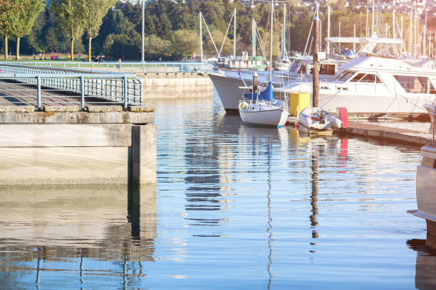 boats at the pier