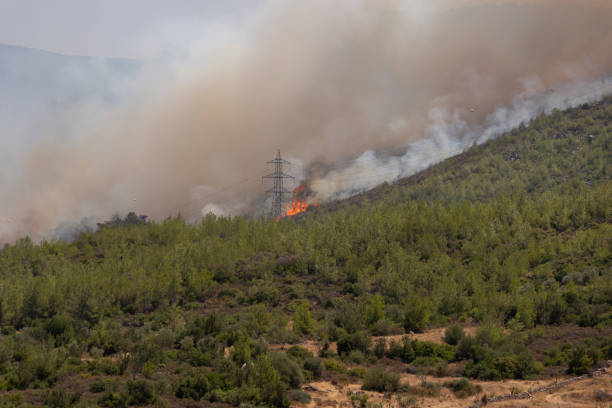istock Forest fire at at Mugla Bodrum Turkey Summer 2021 1332219848