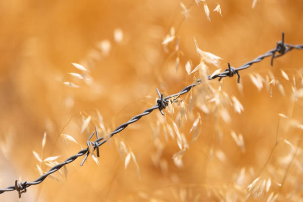 A barbed wire fence and Nebraska farmland.