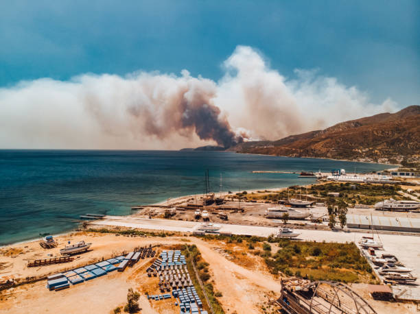 istock Aerial View Forest Fire in Red Pine Forests at Coastline 1332222741