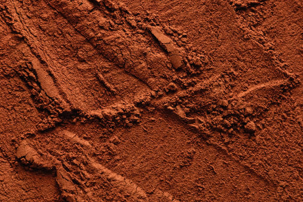 fondo texturizado de cacao natural en polvo, espacio de copia - ground cinnamon fotografías e imágenes de stock