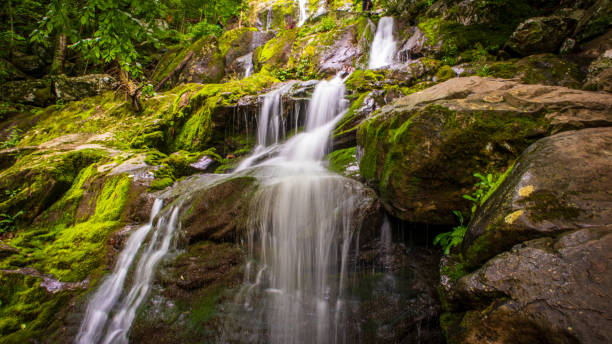 Dark Hollow Falls waterfall in Shenandoah