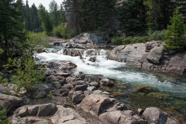 Montana mountain and cascading river scene
