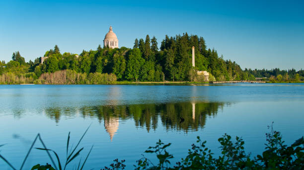istock Washington State Capitol Building from Lakeshore 1332233419