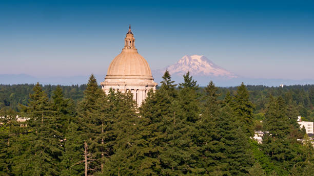 워싱턴 주 국회 의사당 건물 돔 에버그린 나무 가운데 와 산 레이니어 거리 - washington state capitol building 뉴스 사진 이미지