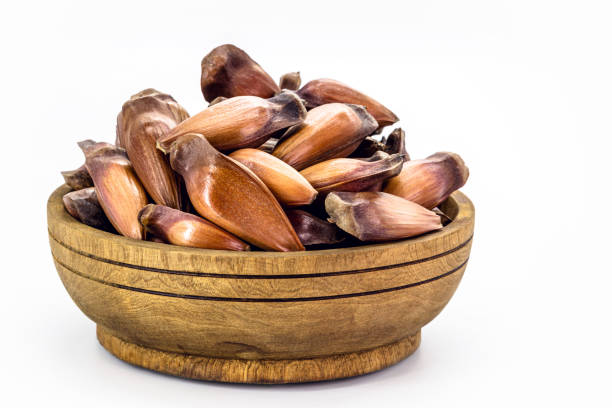 red brazilian pine seeds on isolated white background.