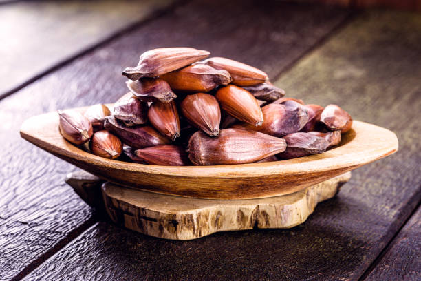istock dish with red pine seeds, traditional from Brazil, used as a culinary ingredient 1332233464