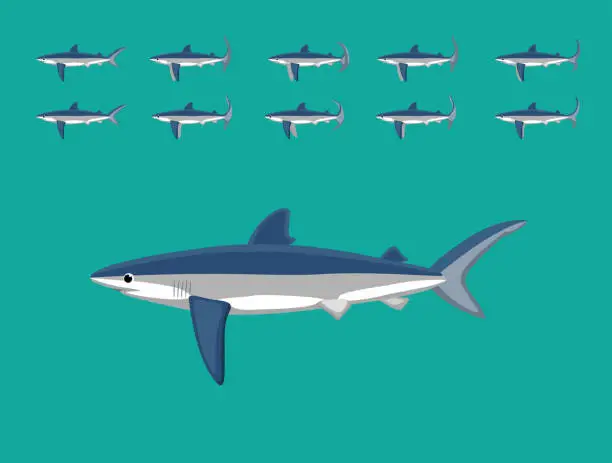 Vector illustration of Animal Animation Sequence Blue Shark Cartoon Vector