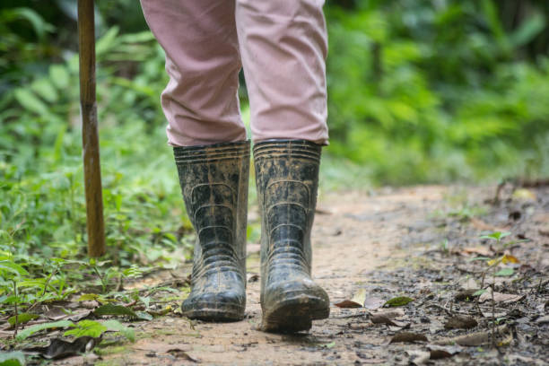 walking in mud - mud dirt road road dirt imagens e fotografias de stock