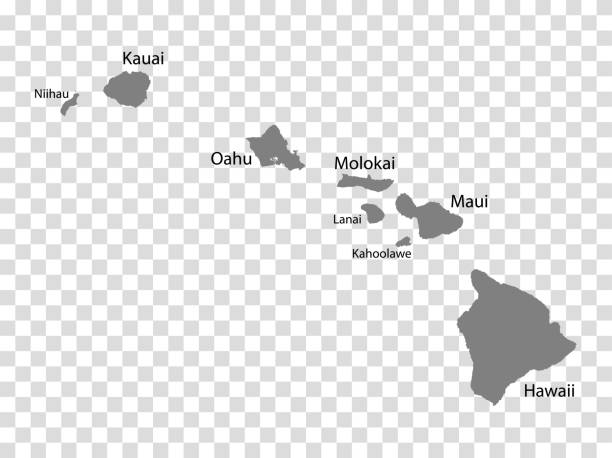illustrations, cliparts, dessins animés et icônes de carte vierge hawaï en gris. chaque carte de l’île est avec des titres. carte de haute qualité des îles hawaï sur fond transparent pour votre conception.  états-unis d’amérique. eps10. - lanai