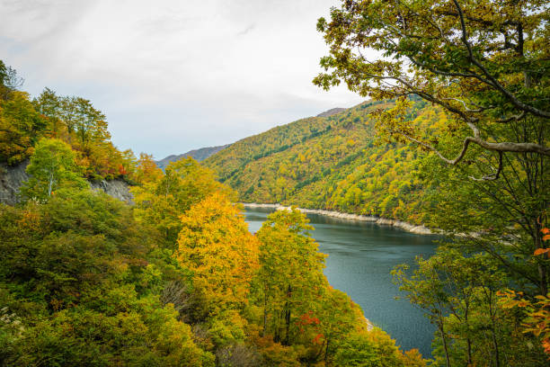 istock At Lake Okutadami with autumn color 1332256559
