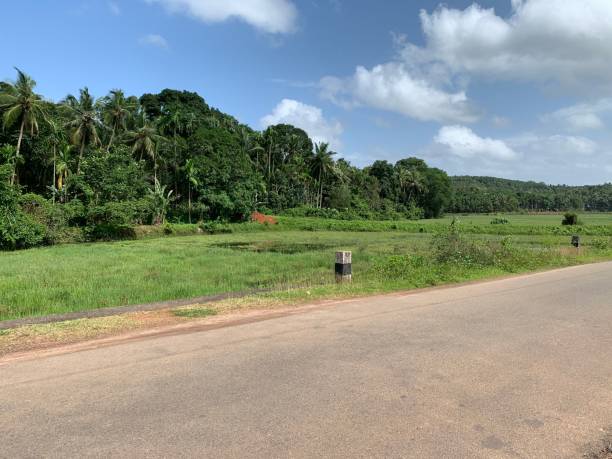 istock Countryside Road in Kerala 1332262275
