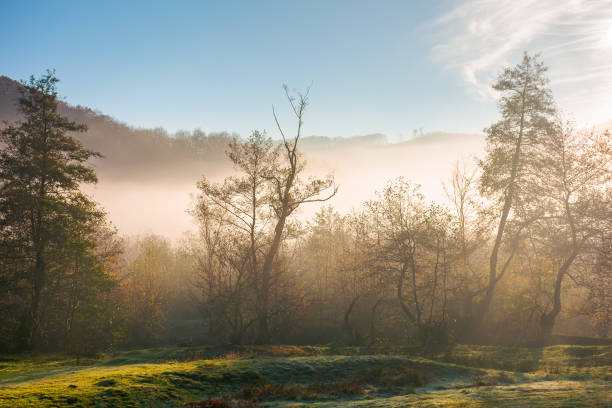 istock countryside scenery at sunrise 1332263170