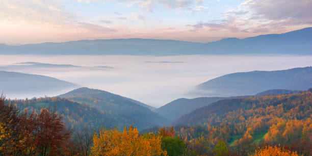 istock autumnal rural landscape 1332263207