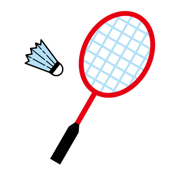 A simple illustration of a badminton racket and shuttle. No person. A simple illustration of a badminton racket and shuttle.
No person. badminton stock illustrations