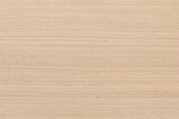 istock Plywood texture background, wooden surface in natural pattern for design art work. 1332266626