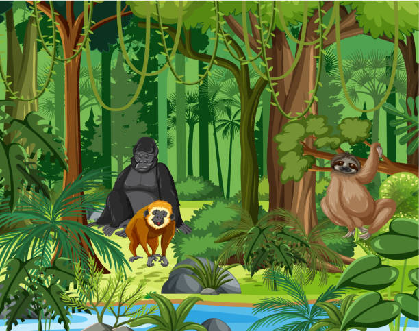 Wild Animals With Stream Flowing Through The Forest Scene Stock  Illustration - Download Image Now - iStock