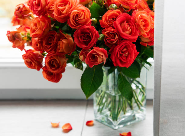 Red roses in a glass vase on the window sill