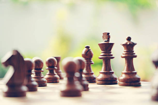 tiro horizontal de piezas de ajedrez de madera de color marrón en el juego de ajedrez con enfoque en el rey y la reina - battalion fotografías e imágenes de stock