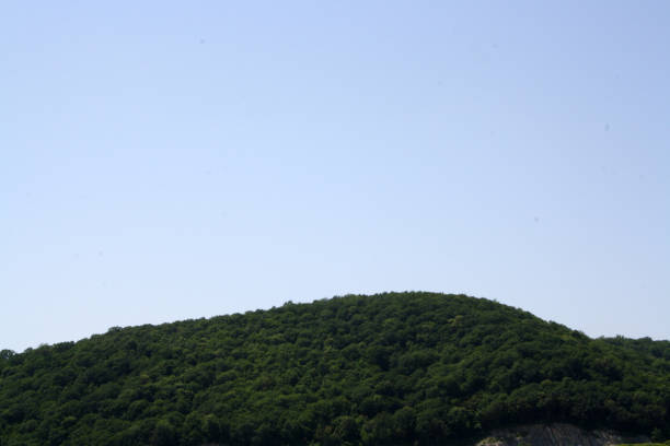 A green mountain overgrown with forest. Summer landscape.