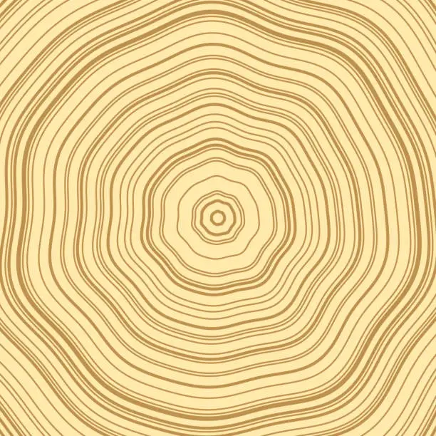 Vector illustration of Tree rings, trunk cross section