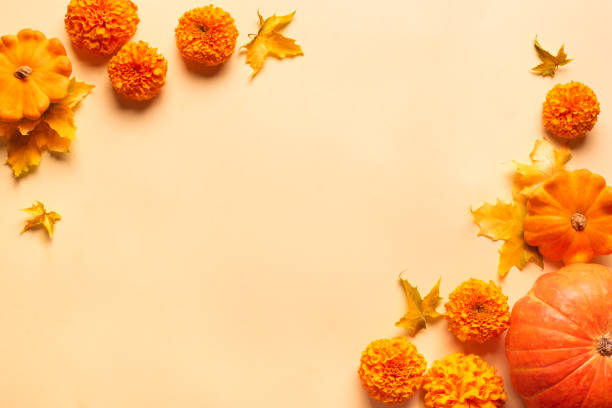 Autumn composition with pumpkins, flower and yellow maple leaves on yellow, top view, copy space. Seasonal fall, Thanksgiving, mid autumn festival background.