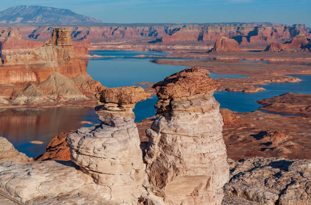 istock Alstrom Point at sunset, USA 1332284388