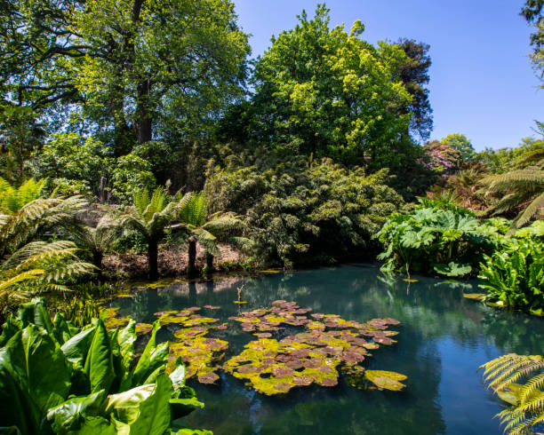Lost Gardens of Heligan in Cornwall, UK stock photo