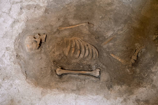 人間は地下の骨格を地面に残している。考古学的発掘調査