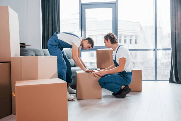 istock Packaging the box. Two young movers in blue uniform working indoors in the room 1332288843