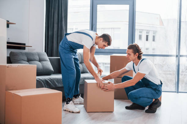 Packaging the box. Two young movers in blue uniform working indoors in the room stock photo