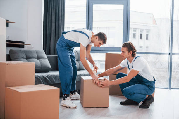 embalando a caixa. dois jovens em uniforme azul trabalhando dentro de casa na sala - moving service - fotografias e filmes do acervo