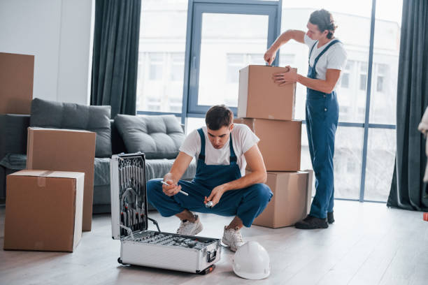 istock Two young movers in blue uniform working indoors in the room 1332291611