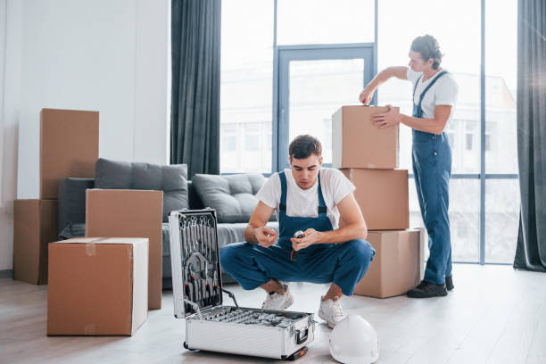 istock Two young movers in blue uniform working indoors in the room 1332292177