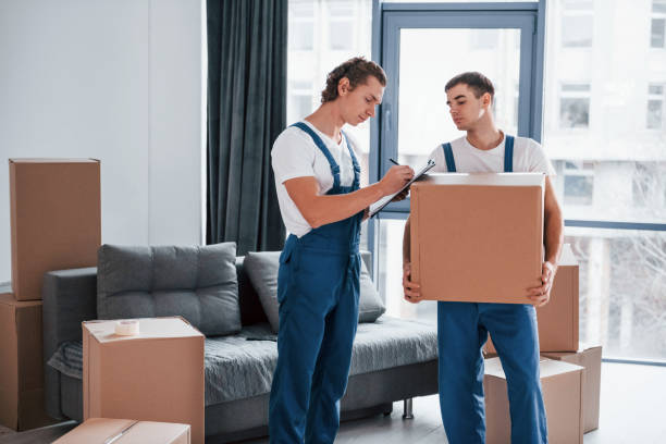 istock Holds notepad with document. Two young movers in blue uniform working indoors in the room 1332292277