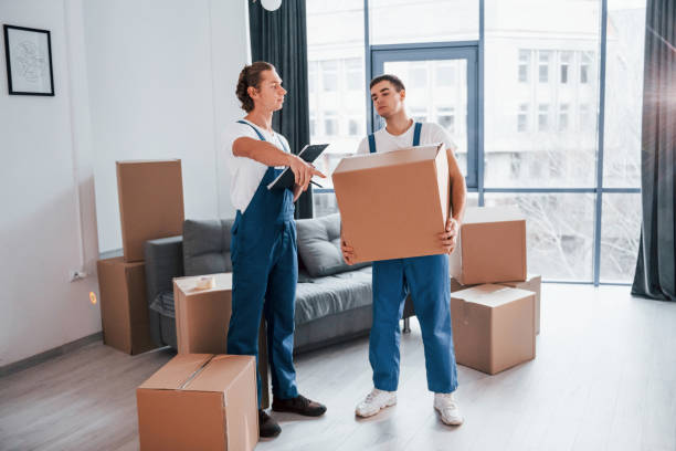istock Holds notepad with document. Two young movers in blue uniform working indoors in the room 1332292378