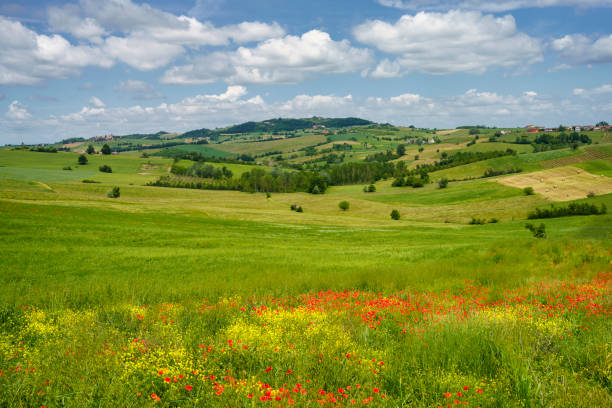 istock Landscape on the Tortona hills at springtime. 1332295137