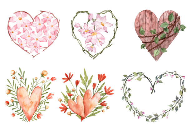 ilustrações, clipart, desenhos animados e ícones de conjunto de corações decorativos fofos com flores. ilustrações pintadas à mão de aquarela isoladas em fundo branco. cartão de saudação floral para o dia dos namorados. flores rosas e videira verde - cute decoration invitation vine