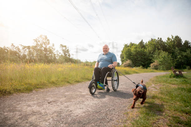 istock Day Out With My Dog 1332296883