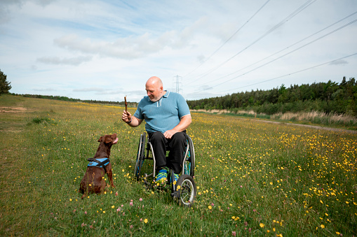 A caucasian, mature man with paraplegia, using his modified wheelchair in a nature reserve on a sunny summers day. He is wearing casual clothing and is throwing a stick for his dog, a brown Patterdale Terrier.